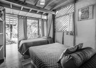 Peru - Máncora - Surfing in Paradise 🏄🏽‍♀️☀️ Sandy Beaches, Palm Trees & Pisco Sours in Máncora, Peru - 4