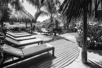 Peru - Máncora - Surfing in Paradise 🏄🏽‍♀️☀️ Sandy Beaches, Palm Trees & Pisco Sours in Máncora, Peru - 5