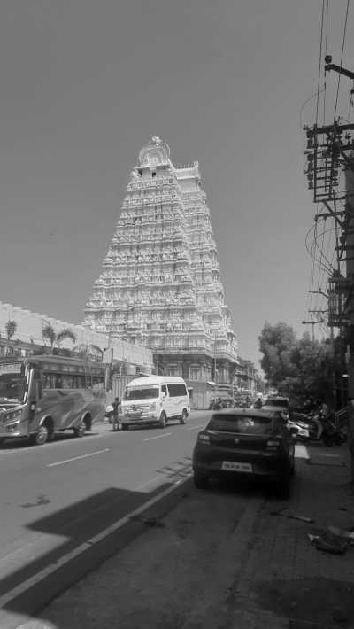 India - Tiruchirappalli - Ancient South India: Experience the Exotic Ancient Temples and Enticing Hills of Tamilnadu - 20