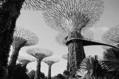 Singapore - Garden By The Bay - Chinese Garden - 𝗠𝗮𝗷𝗲𝘀𝘁𝗶𝗰 𝗦𝗶𝗻𝗴𝗮𝗽𝗼𝗿𝗲: 𝗔𝗻 𝗨𝗻𝗳𝗼𝗿𝗴𝗲𝘁𝘁𝗮𝗯𝗹𝗲 𝗝𝗼𝘂𝗿𝗻𝗲𝘆 𝗧𝗵𝗿𝗼𝘂𝗴𝗵 𝘁𝗵𝗲 𝗚𝗮𝗿𝗱𝗲𝗻 𝗖𝗶𝘁𝘆 🇸🇬⛲️🏝 - 2