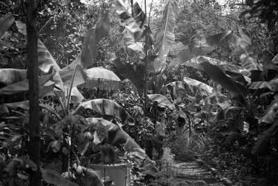Indonesien - Ubud - 7 Days in Bali: Work Remotely, Reconnect Deeply, and Experience the Soul of Ubud (Private Bedroom) - 2