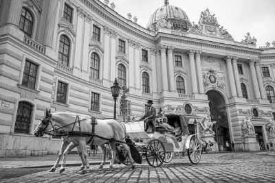Österreich - Wien - Vienna Vibes -  Open Air Concert, Pride Parade and The Most Lively City in the World! - 3