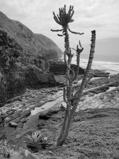 South Africa - Mdumbi Backpackers - South Africa Roadtrip with a Local: Untouched beaches 🌞, Mountains, Wilderness, Campfires & Adventure 🤙 Epic Roadtrip through an epic Country🚙 - 7