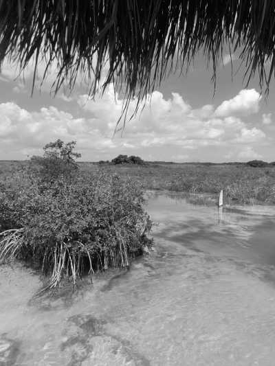 Mexico - Bacalar - The local pearls of Yucatan, Mexico - 1