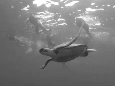 Spain - Acantilados de Los Gigantes - Discover Tenerife's Hidden Gems on a Guided Trip Off the Beaten Track - 1