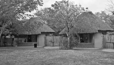 Sub-Saharan Africa - Satara Rest Camp - Wilderness Expedition: Discovering Kruger's Hidden Gems - 1