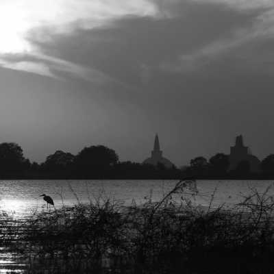 Sri Lanka - Anuradhapura - Explore the Pearl of the Indian Ocean: Unveiling the Wonders of Sri Lanka - 1