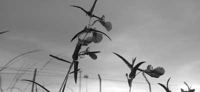 Indien - Nongkhnum Island Beach - Rejuvenate in the Clouds: ABODE MEGHALAYA's Fusion of Culinary Delights and Adventures! - 10