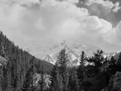 Pakistan - Nanga Parbat Base Camp - Discover Nanga Parbat Base Camp: 4-Day Road Trip Exploring Fairy Meadows and Beyal Base Camp, Pakistan - 5