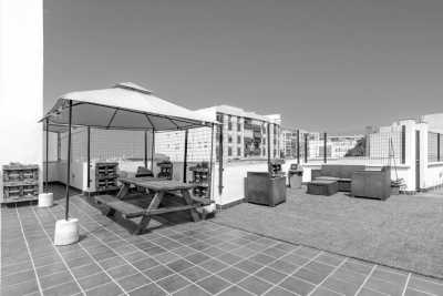 Spanien - Málaga - CoWorking in Malaga with a Local Guide🇪🇦🌴: (Last Spot) Cultural Immersion,  Crystal Clear Water, Tapas, Music, Sunsets and much more! - 7