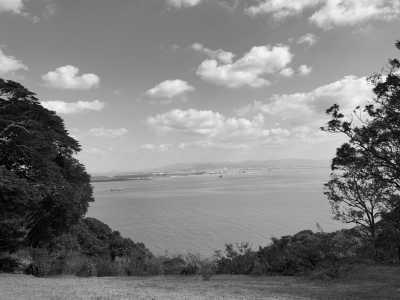 Japan - Nokonoshima Island Park - Experience Karatsu Kunchi Floats Festival and Autumn Cosmos Flowers Overlooking the Ocean in Japan - 2