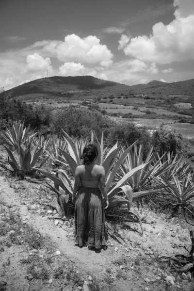 Mexiko - Santiago Matatlan - All Inclusive Oaxaca, Mexico Culture & Cuisine Retreat 🌵🌮 - 6