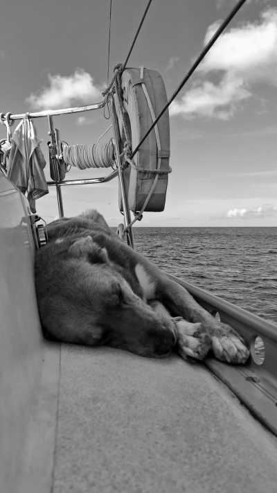 Karibik - Sint Eustatius - Explore the Caribbean: Unforgettable Sailing Adventures! - 2