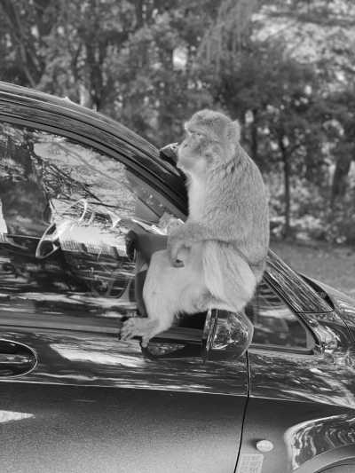 Marokko - Fes - Travel to Morocco -  explore Marrakech, Berber villages, dunes, local Moroccan cuisine and more - 5