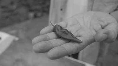 Peru - Lima - Lima, Peru CoWork Trip: 2 Weeks in the Food Capital of South America with a Local - 8