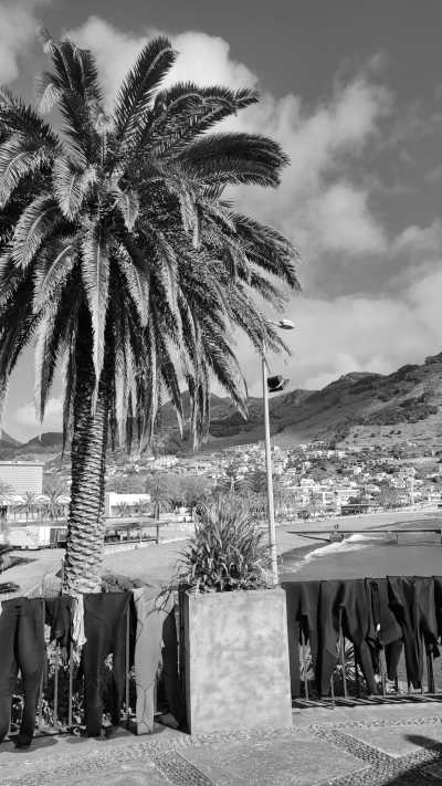 Portugal - Machico - 🏄🏼 Surfing and Exploring Hawaii of Europe, Madeira 🏝️🌺 - 2