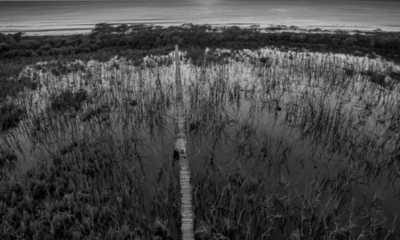 Costa Rica - Tamarindo - Majestic Adventures in Costa Rica: Beaches, Volcanoes, Hot Springs, Cloud Forest, and Pura Vida Lifestyle! - 9