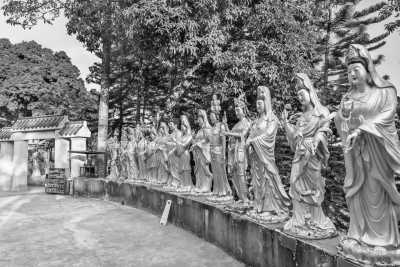 Hongkong - Ten Thousand Buddhas Monastery - Enjoy Chinese New Year in Hong Kong (dragon dances, landmarks, museums, shopping) - 1