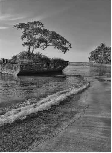 Costa Rica - Puerto Viejo de Talamanca - Work and Live in Costa Rica's Wonderful South Caribbean Side! - 3