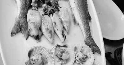 Kroatien - Lopar - Segeln & MAMA MIA & erkunde die kroatischen Inseln - KRK - RAB - PAG - CRES - 7