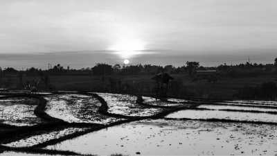 Indonesien - Ubud - *Returning TripMate Only* -  Magic Sunsets, Hidden Waterfalls and Sacred Temples - A (luxurious) journey to Bali's cultural heritage and natural wonders (INDONESIA TRIP - PART II) - 1