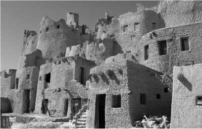 Egypt - Shali Fortress - Explore Egypt with a Local - Siwa Oasis, Cairo and Egyptian food!