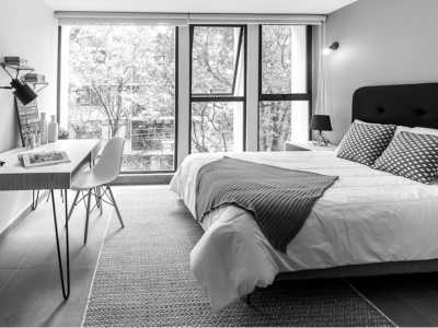 Mexico - Mexico City - 10 day Coworking Trip in the heart of Mexico city with a local, in your own private apartment - 3