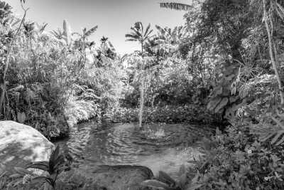 Vereinigte Staaten - Hanehoi Stream - Phoenix Rising Wellness and Culture Retreat