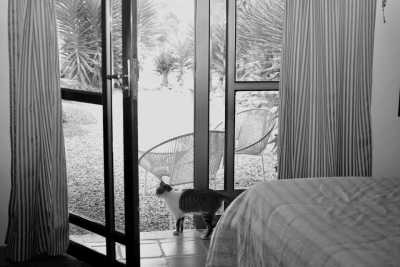 Kolumbien - Mesa de los Santos - Discover with a mystic the Chicamocha Canyon and the gorgeous towns of Bucaramanga, Colombia - 33