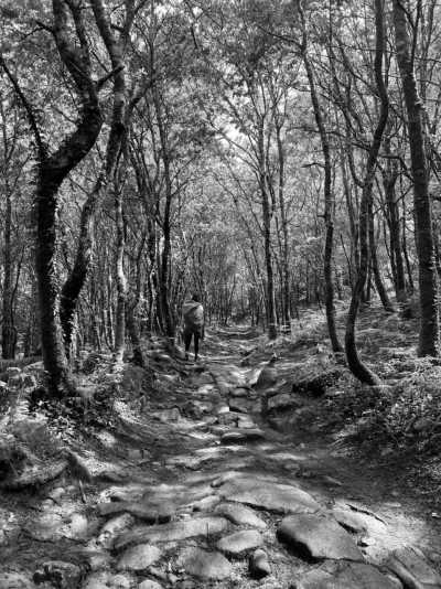 Southern Europe - Hotel Exe Peregrino - A Slow and Soulful Walk on the Portuguese Coastal Camino - 1