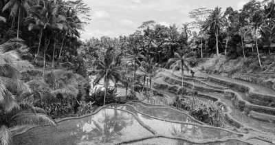 Indonesia - Ubud - Workation in Bali  🏝💻 - AMAZING Villa with private rooms & Bali Expert - 1