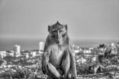 Thailand - Khao Hin Lek Fai Viewpoint - Explore Hua Hin, Thailand ☀️ with a Pool Villa - Enjoy the Beach, Nature, Culture and Food! - 1