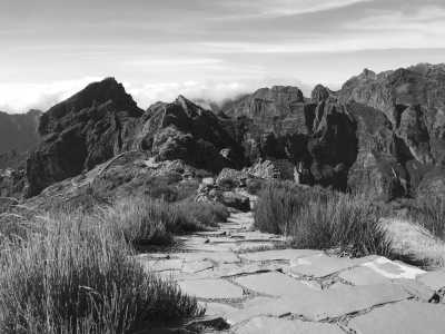 Portugal - Madeira - 2 Weeks Madeira 🌴 CoLiving & CoWorking 💻 with private studio flat - 11