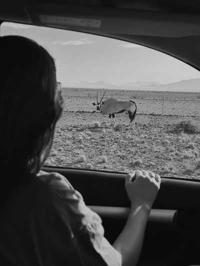 Namibia - Sesriem - Namibia : Road Trip Safari Adventure - 18