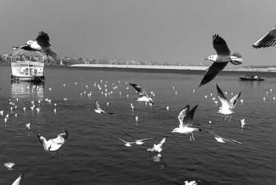 India - Ganga River - In the Heart of Holiness: Varanasi Voyage