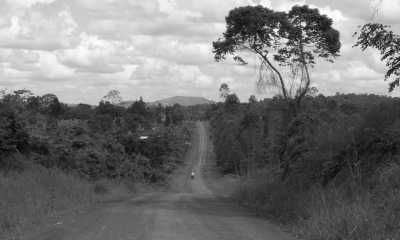 Uganda - Bwindi Impenetrable Forest - Uganda: 🦍 Hike to wild Mountain Gorillas, 🦏 Track Rhinos, 🌅 Lake Victoria cruise, White water rafting, Stand on the equator line & visit Entebbe, Kampala & Jinja towns - 3