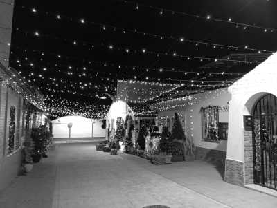 Spain - Centro - 🎉 New Year’s in Málaga – 4 Days of FUN, PARTY and TAPAS! 🥳☀️🍷(private rooms) - 5