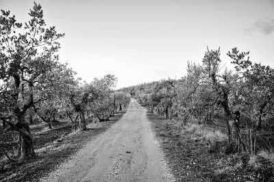 Italy - Greve in Chianti - A Long Weekend in Tuscany: crazy panoramas, fine Italian wine and beautiful ancient Villages! - 1