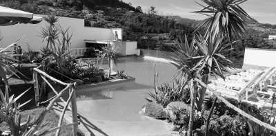 Portugal - Caniço - 2 Weeks Madeira 🌴 CoLiving & CoWorking💻in shared accommodation - 4