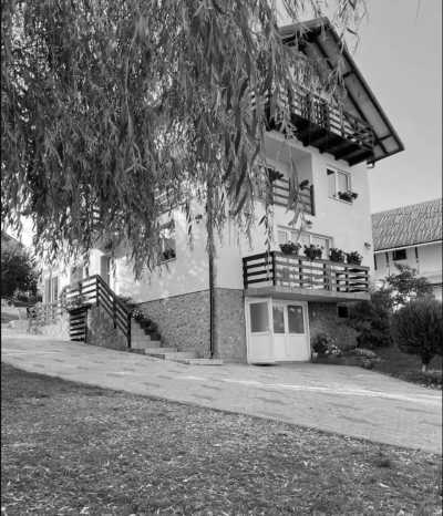 Romania - Moieciu de Jos - Halloween Weekend at Dracula's Bran Castle, Romania - 2