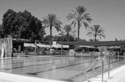 Israel - Ein Gedi - Discover the Vibrant city of Tel Aviv at its shiniest and craziest: Gay Pride🏳️‍🌈🥳 - 7