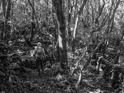 Portugal - Pico Island - Exploring for 7 days Pico Island, Portugal - Hiking, Sightseeing and More 🏝️ - 4