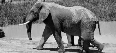 Südafrika - Natures Valley - 🌞Ultimate 10-Day South Africa Road Trip🇿🇦Cape Town & The Garden Route – 🌊Adventure, Nature & Epic Vibes! - 7