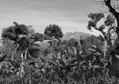 Tanzania - Kilimandscharo - An Incredible 12 Days trip in Tanzania Safari and Mount Kilimanjaro