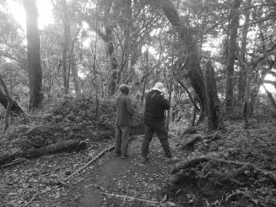 Tansania - Mti Mkubwa Camp - Scale Kilimanjaro: 7-Day Lemosho Route Summit Ascent in Tanzania