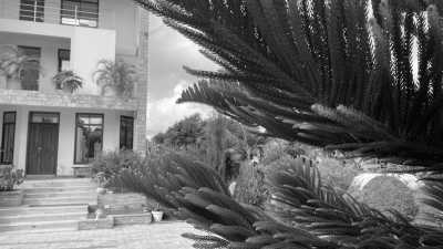 Tanzania - Arusha - Travel Like a Local through out Tanzania