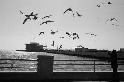 Azerbaijan - National Museum of History of Azerbaijan - Baku to Beyond: Your Journey to the Enchanting Land of Fire - 4