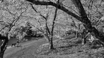 Australia - Deloraine - Tasmania Express: 4-Day Getaway on Wheels! - 3