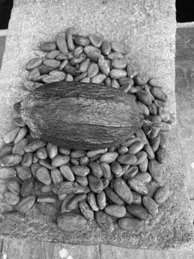 Mexico - Oaxaca - Unveiling OAXACA Mexico: A 7-Day Gastronomy, Culture, and Crafts Adventure for Women - 3