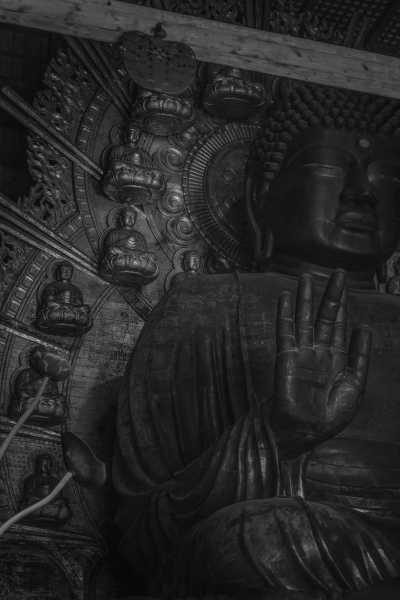 Japan - Nara - Unlock Japan's Wonders: Join the Ultimate Osaka CoWorking Journey (Private Room) - 3